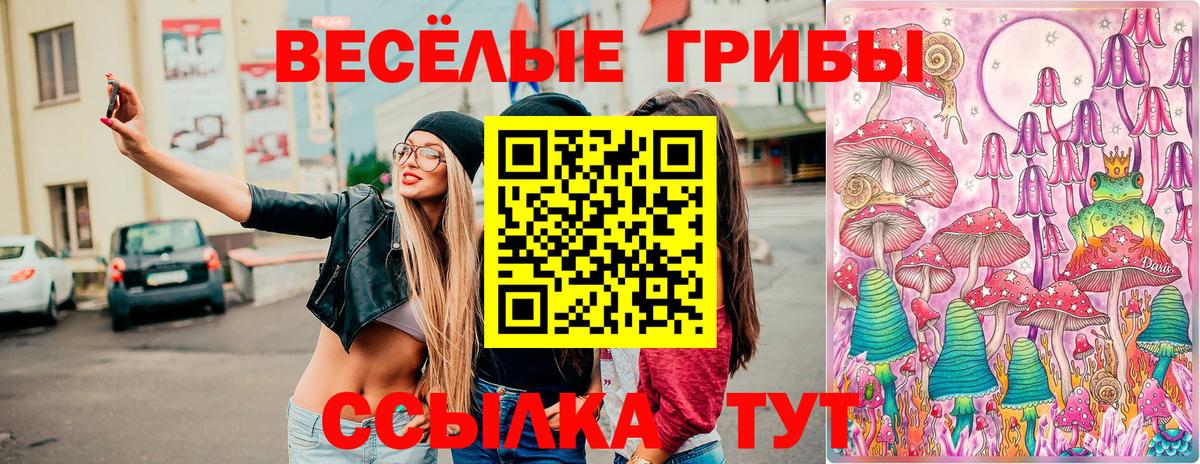 Псилоцибиновые грибы MAGIC MUSHROOMS Тихвин