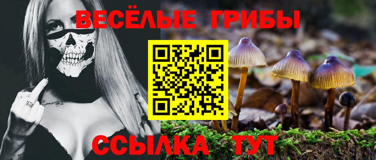 Галлюциногенные грибы мухоморы  Вход с VPN  Тихвин 